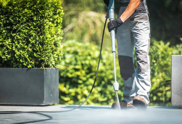 Best Sidewalk and Walkway Cleaning  in Harlem Heights, FL