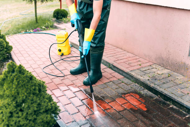 Best Building Exterior Washing  in Harlem Heights, FL